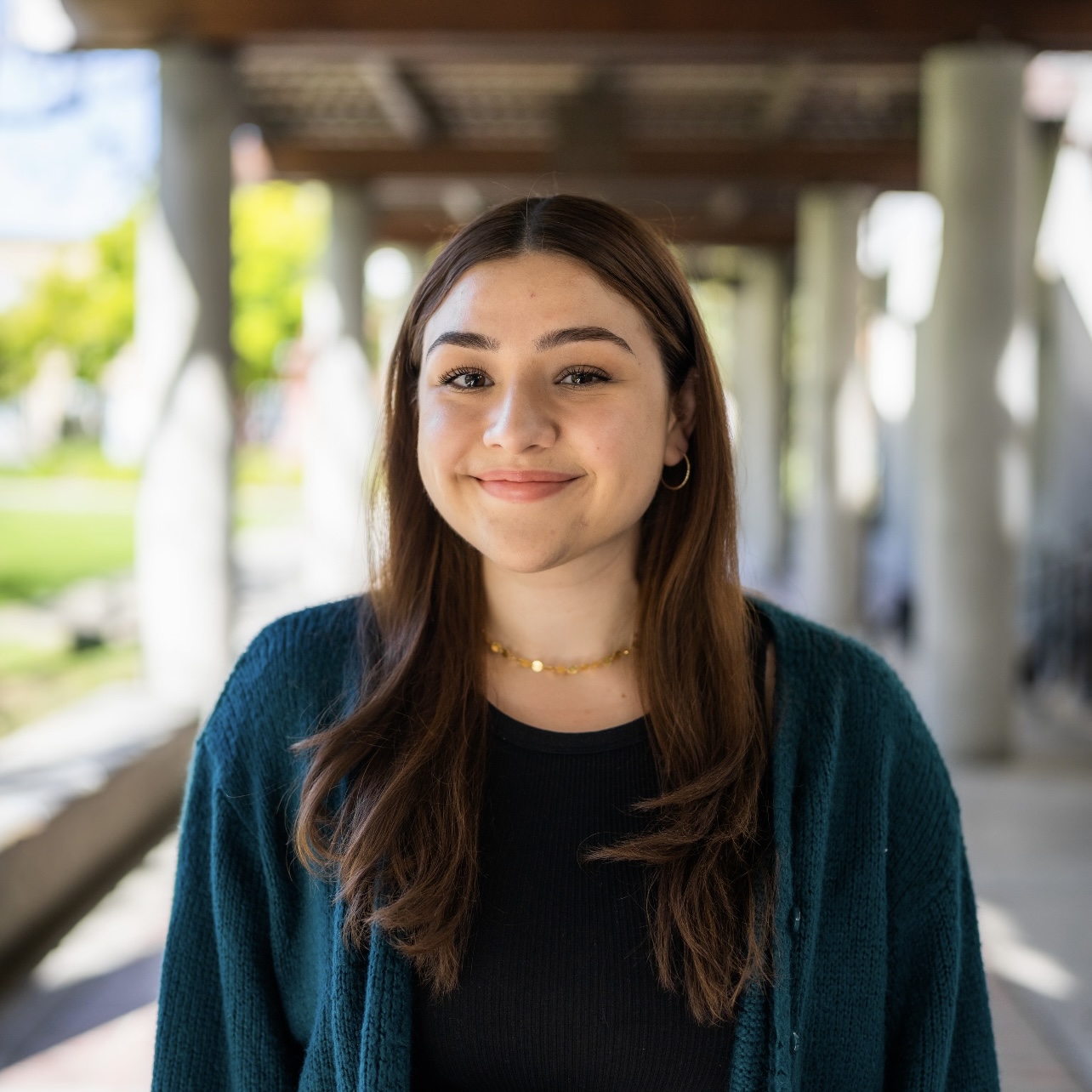 SURF Fellows – Undergraduate Research & Scholarships